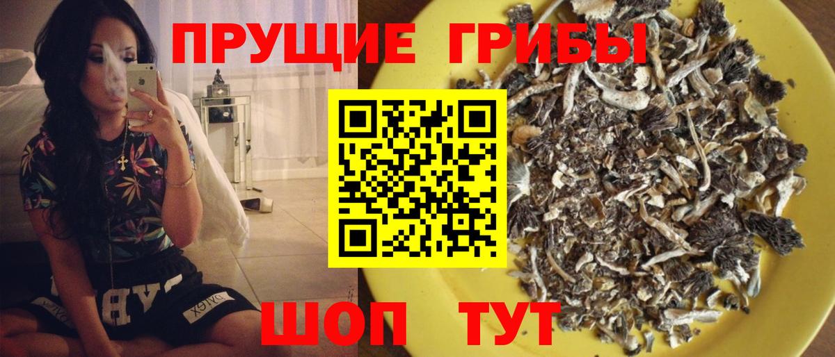 цены   Вход с VPN  Семёнов  Галлюциногенные грибы GOLDEN TEACHER 